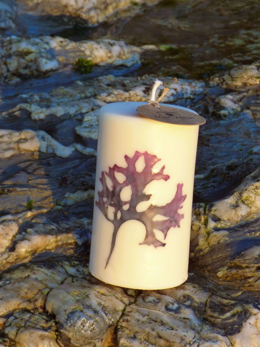 Flore Iodée | Brin de nature